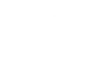 Zenith Logo White